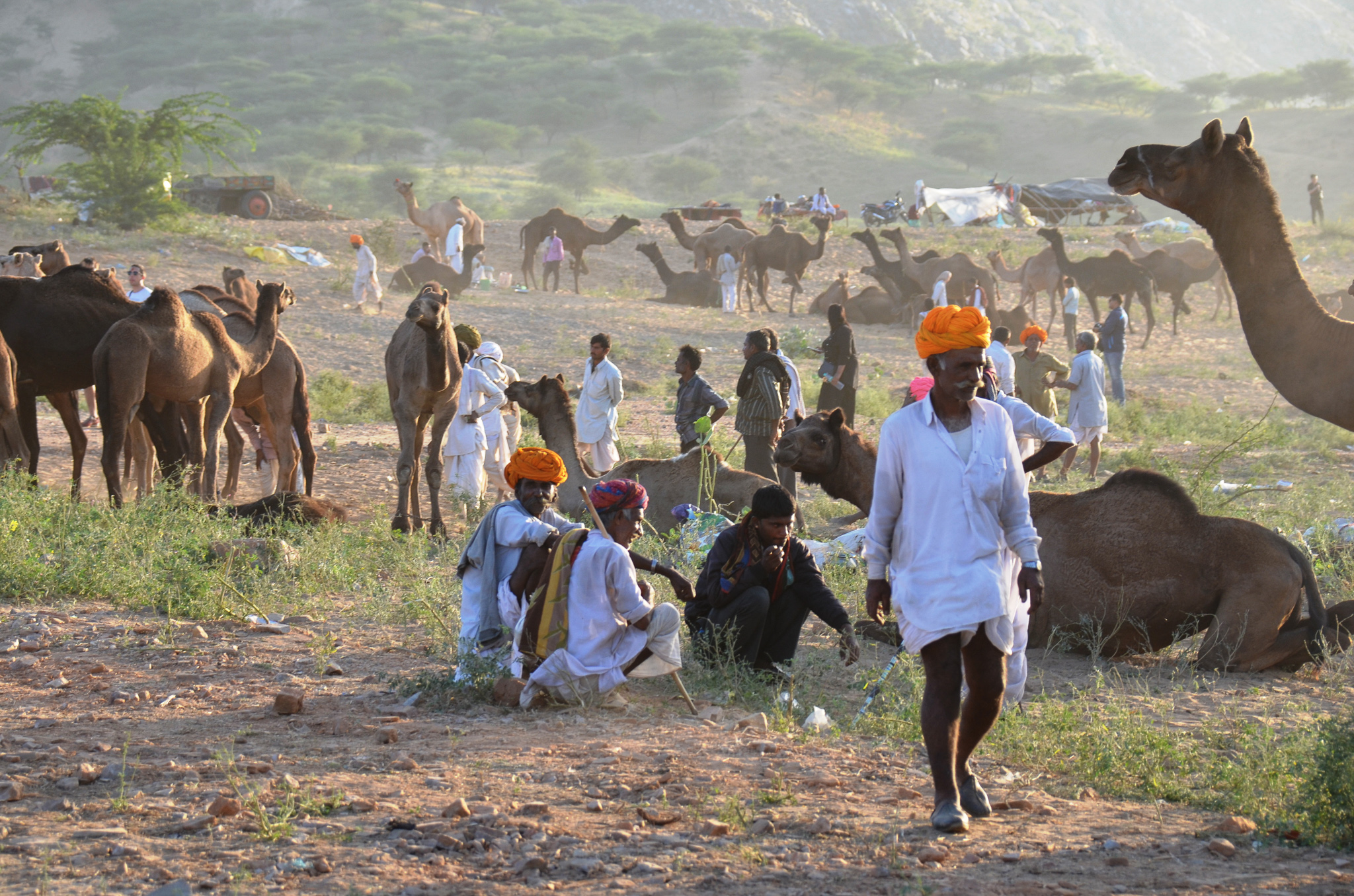 A vibrant scene at the Pushkar Camel Fair, featuring camels and groups of people dressed in traditional attire amidst a dusty landscape.