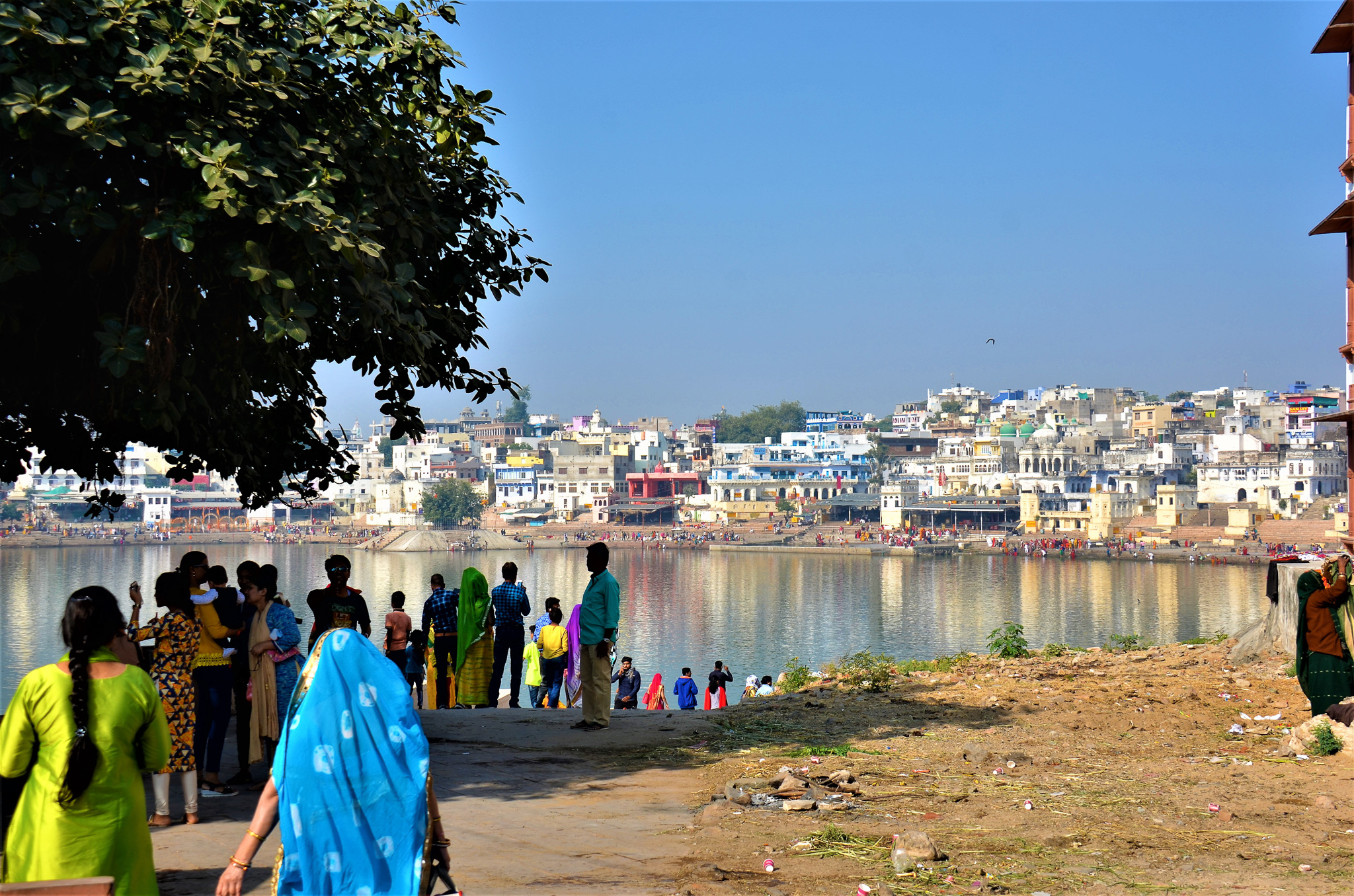 View of Pushkar Lake surrounded by colorful buildings and people, with trees in the foreground.