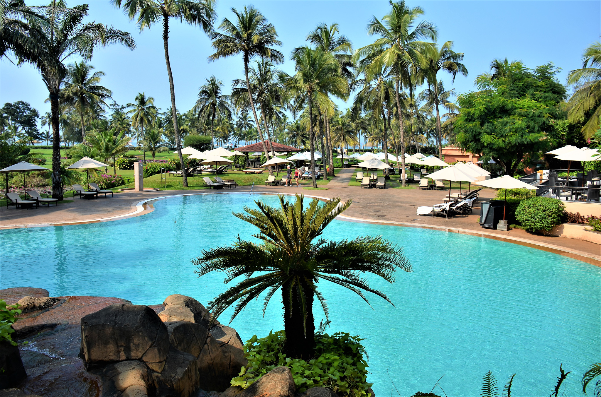A picturesque resort pool surrounded by palm trees, lounge chairs, and shaded umbrellas, with a clear blue sky in the background.