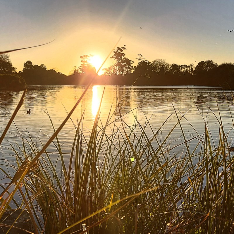 Flooding at Western Springs Lakeside Park During Auckland Emergency This&nbsp;Week