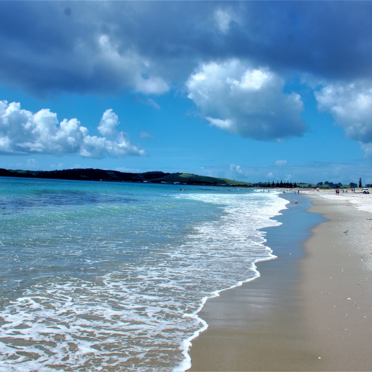 Omaha Beach: White Sand and Clear Blue Water, Auckland/Tāmaki&nbsp;Makaurau