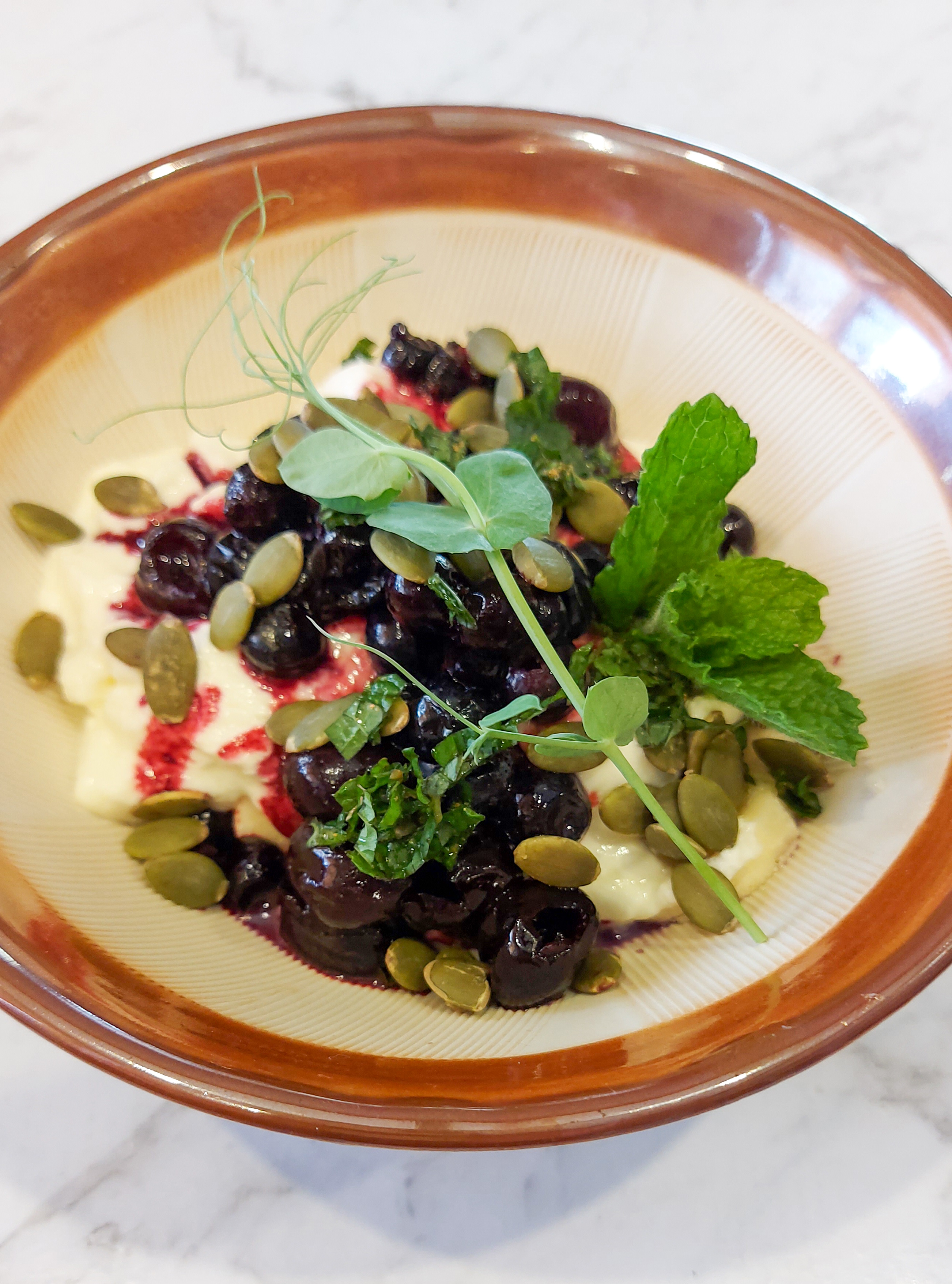 A Japanese bowl contain a yoghurt breakfast of fruits, yoghurt, seeds, mint and pea shoot.