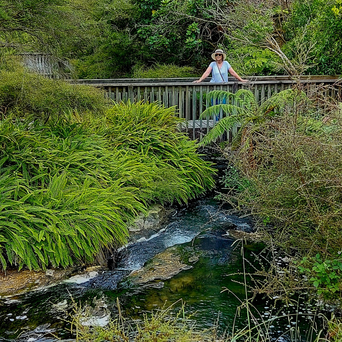 Waimangu Volcanic Valley: A Natural Geothermal&nbsp;Valley