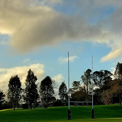 Fowlds Park: a local neighbourhood&nbsp;park
