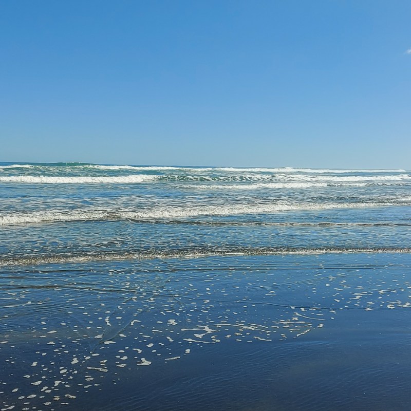 Muriwai Beach: A Rugged West Coast&nbsp;Beach