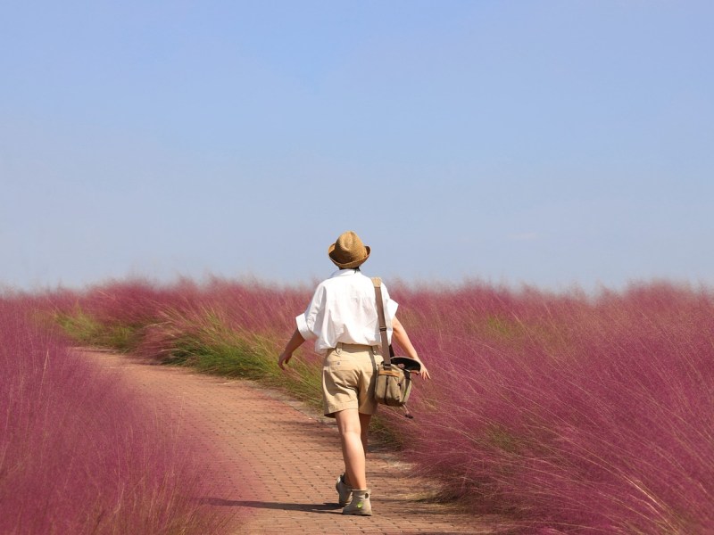 Sharing My Free Travel Packing List Spreadsheet: Stay Organised for Your Next&nbsp;Trip