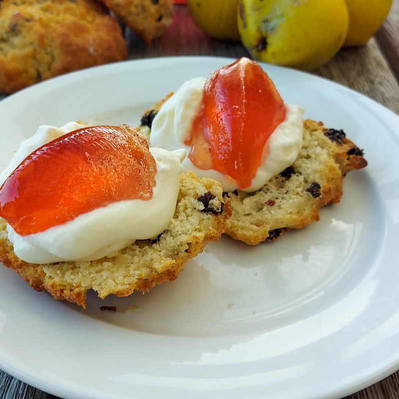 Currant Bliss Scones