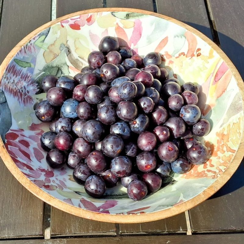 Homemade Damson Plum Jam Recipe: Deep Colour, Tart&nbsp;Taste