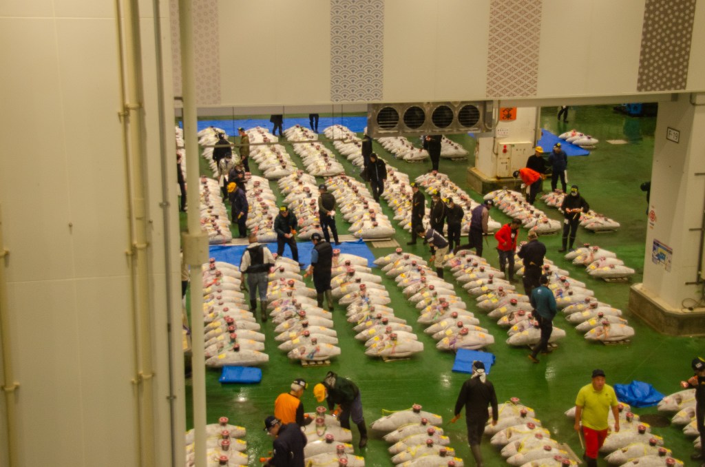 A bustling fish market with numerous bags of tuna arranged on the floor, while vendors and workers are busy in the foreground.