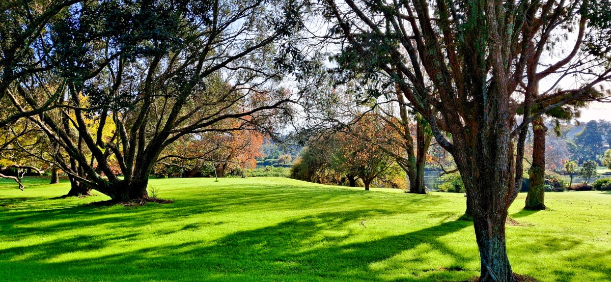 A sunny winter day in Western Springs park with lush green grass and trees casting shadows.