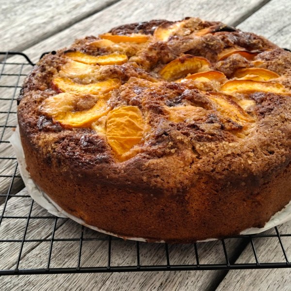 A Taste of Summer: Apricot, Orange & Yoghurt&nbsp;Cake