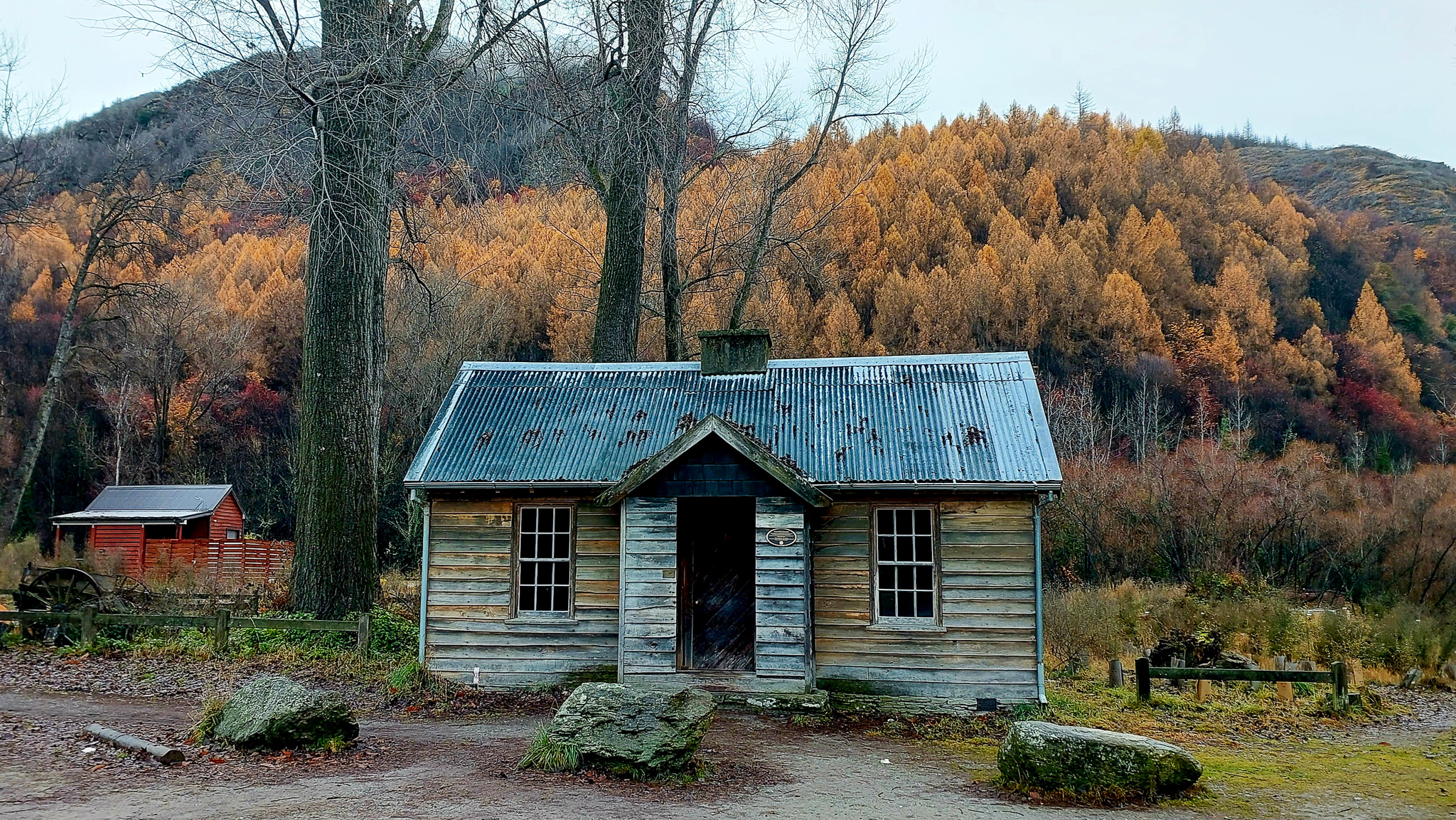Old wooden house with a corrugated metal roof in front of a hillside covered in autumn-colored trees and leafless trees nearby